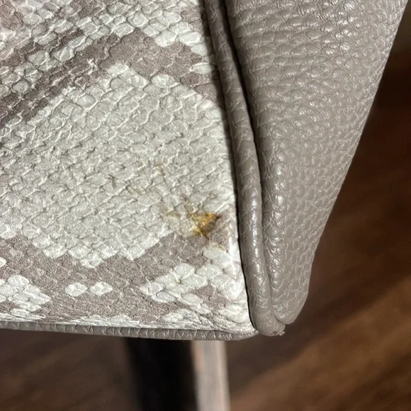 ⭐️ Jewell gray snakeskin purse. Some stains. No shoulder attachment. - Picture 3 of 6